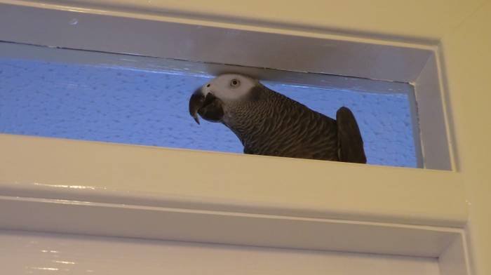  Profile Photos of Lomond Home & Pet Care 128 Broomhill Crescent - Photo 7 of 8
