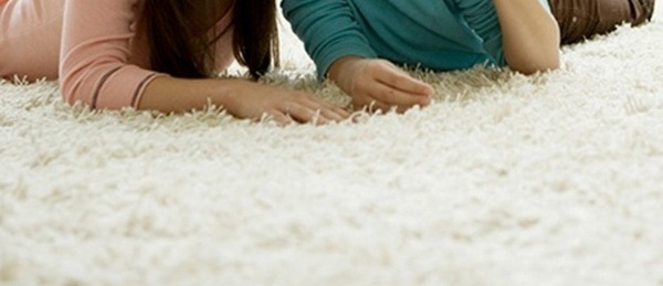  Profile Photos of Carpet Cleaner In Sydney 16-18 Grosvenor Street - Photo 1 of 1