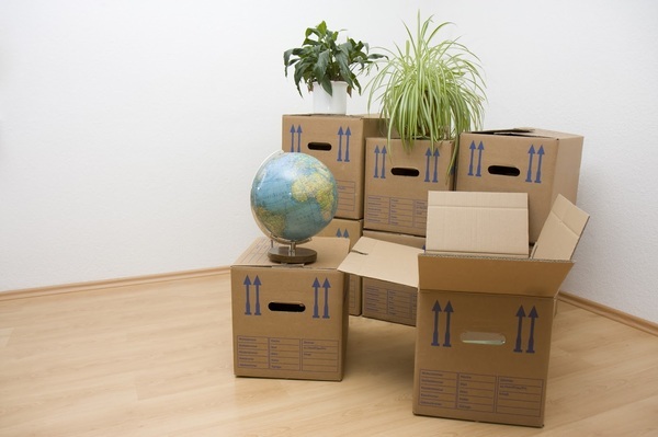  Pricelists of All City Packers and Movers 1st Floor, Ganesh Villa, Behind Manpada Prabhag Samiti, Opp. Fire Brigade Station, Near Revale Talao, Kapurbawdi, Thane (West), Thane - 400607, Maharashtra - Photo 1 of 1