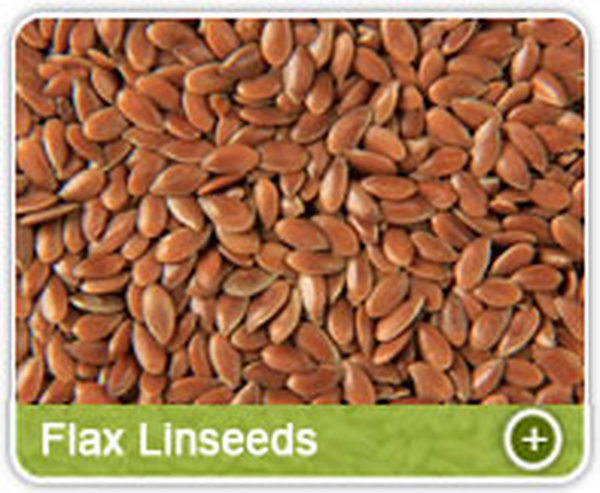  Profile Photos of Organic Products India - Indian Spices Exporter/Manufacturer 331, Market Yard, Gultekdi - Photo 9 of 13
