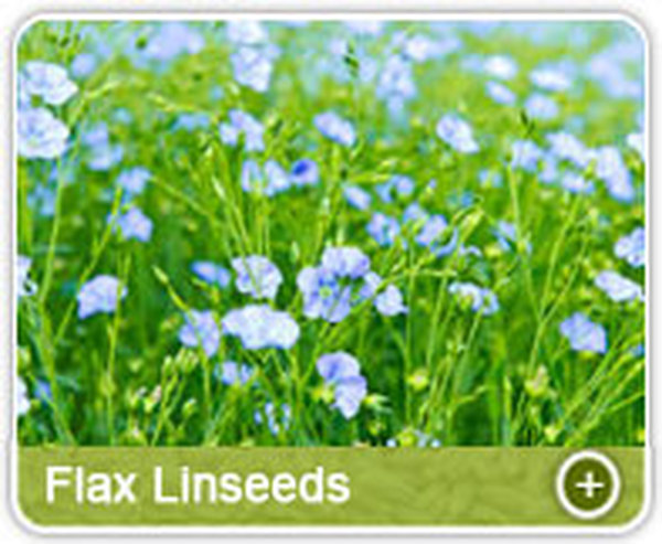  Profile Photos of Organic Products India - Indian Spices Exporter/Manufacturer 331, Market Yard, Gultekdi - Photo 10 of 13