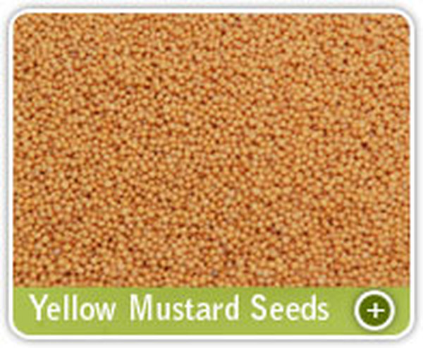  Profile Photos of Organic Products India - Indian Spices Exporter/Manufacturer 331, Market Yard, Gultekdi - Photo 13 of 13