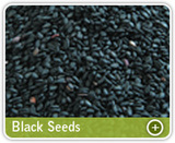  Organic Products India - Indian Spices Exporter/Manufacturer 331, Market Yard, Gultekdi 
