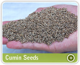  Organic Products India - Indian Spices Exporter/Manufacturer 331, Market Yard, Gultekdi 