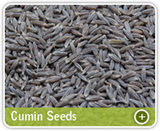  Organic Products India - Indian Spices Exporter/Manufacturer 331, Market Yard, Gultekdi 