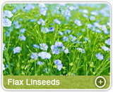  Organic Products India - Indian Spices Exporter/Manufacturer 331, Market Yard, Gultekdi 