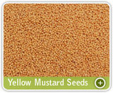 Organic Products India - Indian Spices Exporter/Manufacturer, Pune