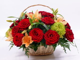 Avon Bangalore Florist, Bengaluru