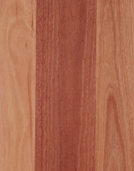  Profile Photos of On Q Flooring 35 Mologa Street - Photo 9 of 10