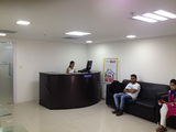 The Net Connect - Best Web Design Development and SEO Service Company, Noida