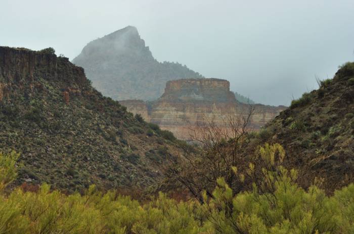  2013 Rafting Season Photos! of Salt River Rafting of Arizona US Hwy 60 - AZ State Route 77 mile marker 293 - Photo 13 of 20
