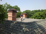 Chimney and Wildlife Specialist - Addison, Addison