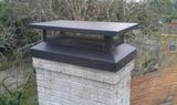 Chimney and Wildlife Specialist - Addison, Addison