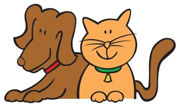  Profile Photos of Pet Vet Animal Hospitals - Baybrook Mall 1520 Bay Area Blvd Ste 7 - Photo 1 of 1