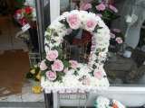 Crimson Rose, plumstead
