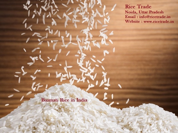  Profile Photos of Rice Mills in Haryana 12 first floor, Bal Udhyan Rd, WZ Block, Uttam Nagar, New Delhi, Delhi - Photo 5 of 5