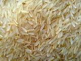 Rice Mills in Haryana, delhi