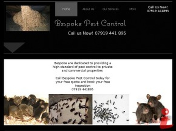  Profile Photos of Bespoke Pest Control in Broxbourne 18 Pulham Avenue - Photo 1 of 1