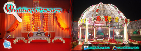  Profile Photos of Blue Apple Entertainment A-1/87, 2nd Floor, Sewak Park, Dwarka More Near Puran Store - Photo 3 of 4