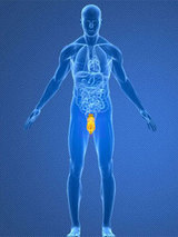 Numale Medical Center - Omaha NE Numale Medical Center - Omaha NE 444 Regency Pkwy Dr #204 
