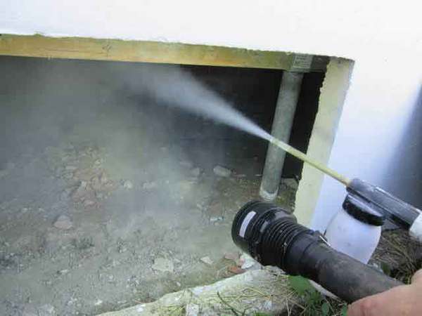  Profile Photos of Masters Pest Control Sydney Suite 58, 377 Kent Street, - Photo 4 of 7