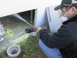 Masters Pest Control Sydney, Sydney