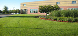 Landscaping Toronto, Toronto