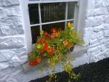 Blackthorn Cottage, Broughshane