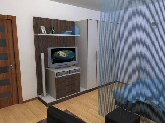  Proiecte ZIGMAN of ZIGMAN str. Bucuresti nr 74 - Photo 10 of 40