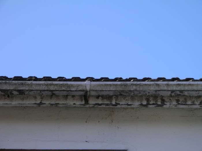  Profile Photos of GCS Gutter Cleaning Specialists 73 Park Lane - Photo 2 of 9