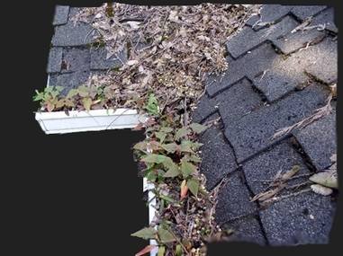  Profile Photos of GCS Gutter Cleaning Specialists 73 Park Lane - Photo 7 of 9