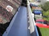  GCS Gutter Cleaning Specialists 73 Park Lane 