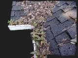  GCS Gutter Cleaning Specialists 73 Park Lane 