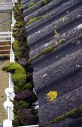  GCS Gutter Cleaning Specialists 73 Park Lane 
