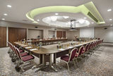 The hotel has the space, staff, and amenities for important business meetings and social gatherings of most sizes, Hilton Garden Inn Istanbul Beylikduzu, Istanbul