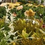  Profile Photos of Penshaw Tea Room & Nursery East Barnwell Farm,  Chester Road - Photo 7 of 9