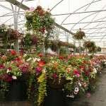 Penshaw Tea Room & Nursery, Penshaw