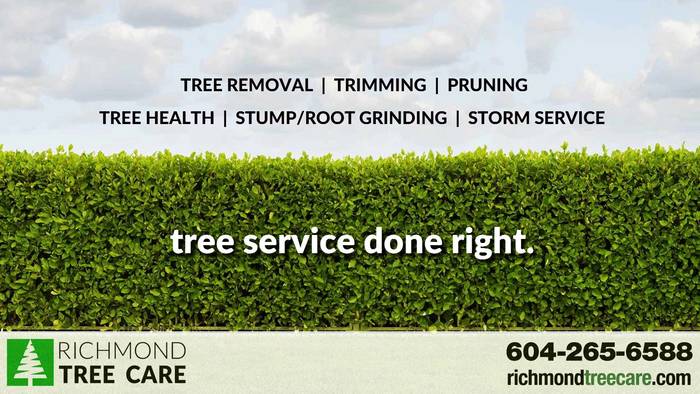  Profile Photos of Richmond Tree Care 11651 Seahaven Pl - Photo 4 of 4