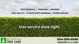Richmond Tree Care, Richmond