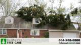 Richmond Tree Care, Richmond