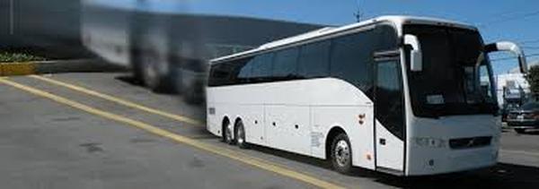  Profile Photos of NJ Limo 196 De Mott Avenue - Photo 18 of 18