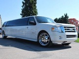  NJ Limo 196 De Mott Avenue 