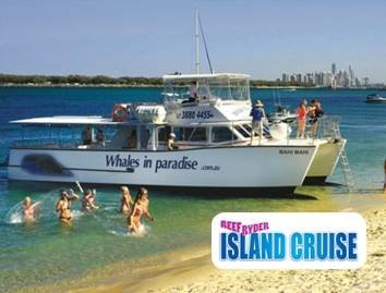  Profile Photos of Reef Ryder Island Cruise Wharf Behind Titanium Bar, 42 Ferny Ave - Photo 2 of 3