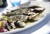  Profile Photos of Portofino Italian Restaurant & Wine Bar - Colchester Haven Road - Photo 4 of 14