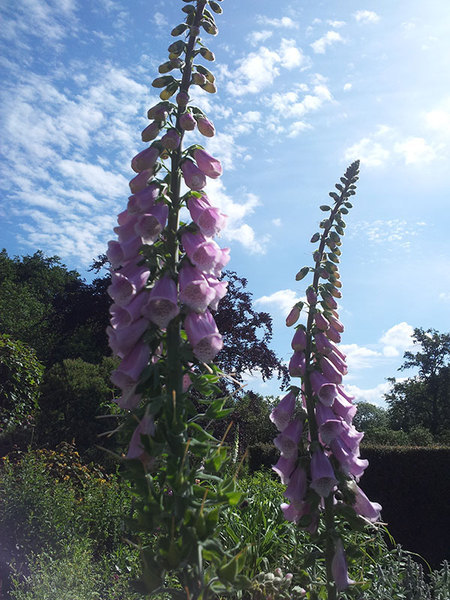  Profile Photos of Cowen Landscapes 1a High street - Photo 1 of 5