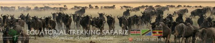  Profile Photos of Equatorial Trekking Safariz Uchumi House, 10th Floor,  Suite 6 off Aga Khan Walk, - Photo 1 of 7