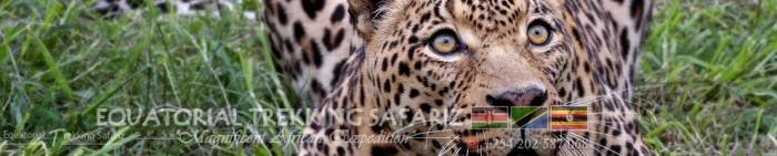  Profile Photos of Equatorial Trekking Safariz Uchumi House, 10th Floor,  Suite 6 off Aga Khan Walk, - Photo 4 of 7