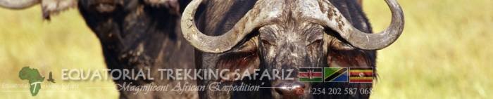  Profile Photos of Equatorial Trekking Safariz Uchumi House, 10th Floor,  Suite 6 off Aga Khan Walk, - Photo 5 of 7