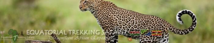  Profile Photos of Equatorial Trekking Safariz Uchumi House, 10th Floor,  Suite 6 off Aga Khan Walk, - Photo 6 of 7