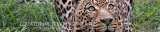  Equatorial Trekking Safariz Uchumi House, 10th Floor,  Suite 6 off Aga Khan Walk, 